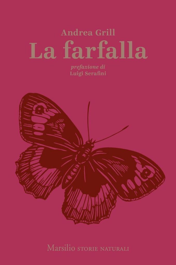 La farfalla (Storie naturali Vol. 3)